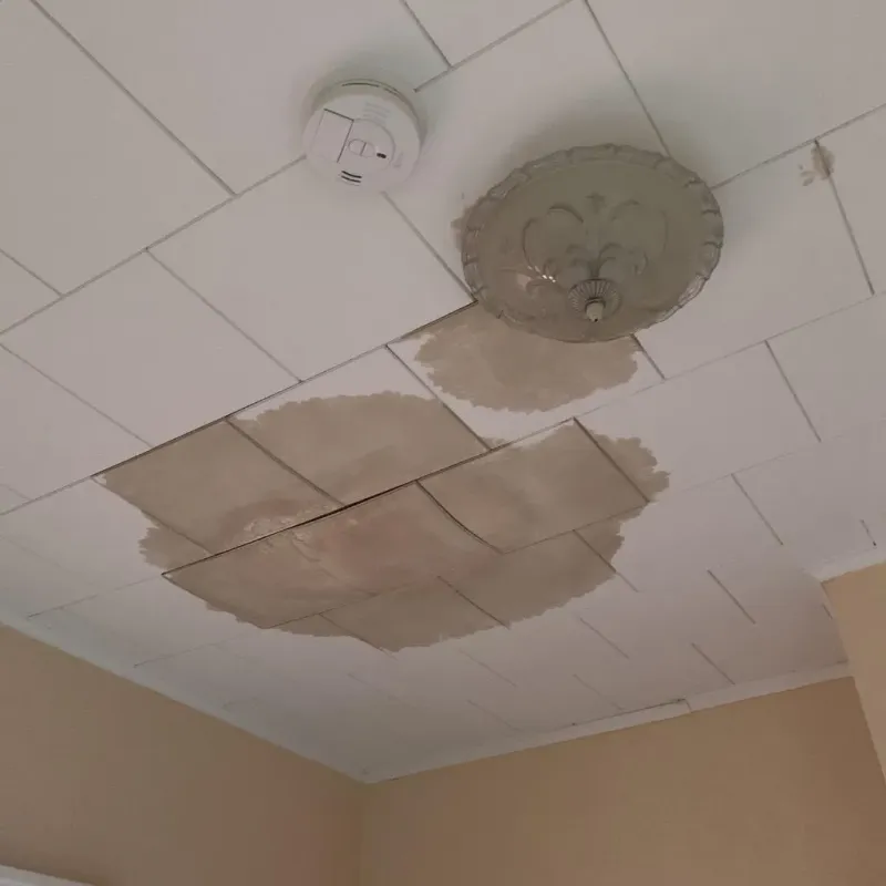 Ceiling Water Damage Repair in Cavalier County, ND